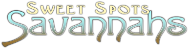 Sweet Spots Savannah Cats Logo